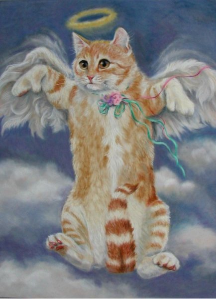 Кошка ангел