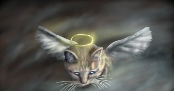 Спокойной ночи с крышами