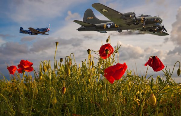 Война и природа