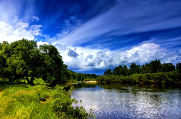Природа лес река небо