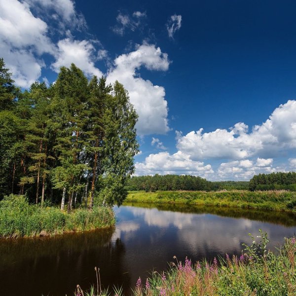 Валдайский национальный парк Новгородская область