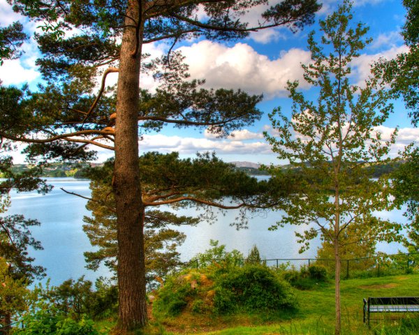 Сосновый Бор озеро