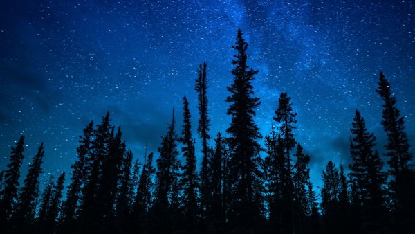 Конь ночь Звёздное небо