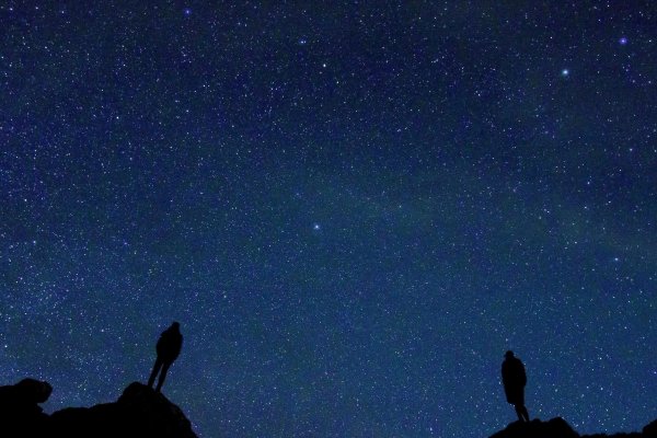 Ночь звезды