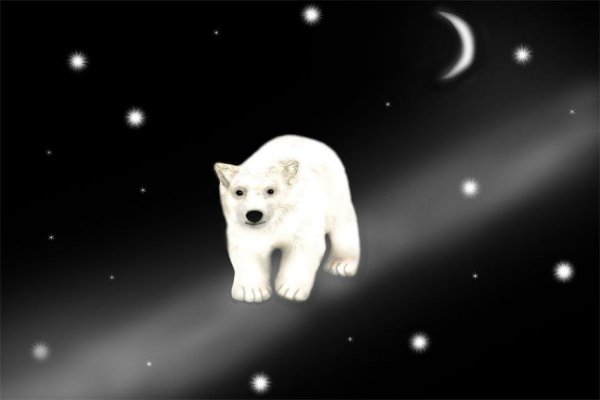 Медведь и звездное небо