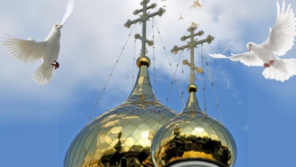 Птицы над храмом