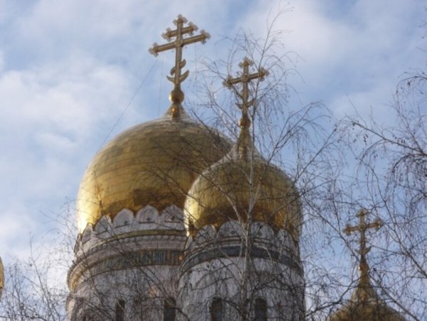 Птицы над храмом