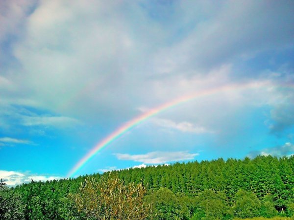 Радуга фото для детей