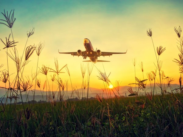 Крыло самолета