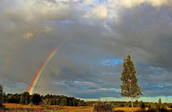 После дождя
