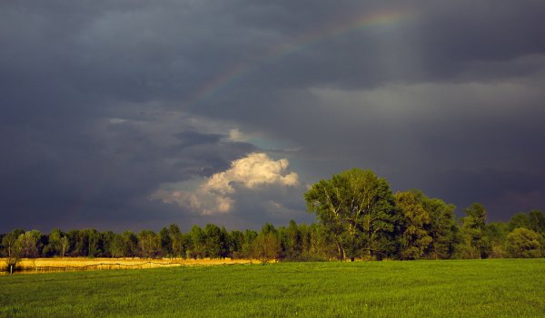 Тучи перед дождем