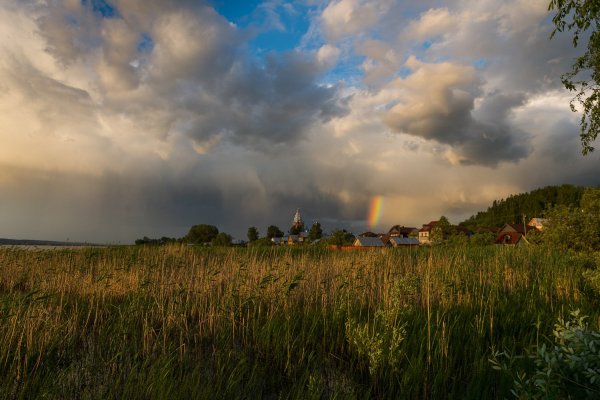 Тютчев перед дождем