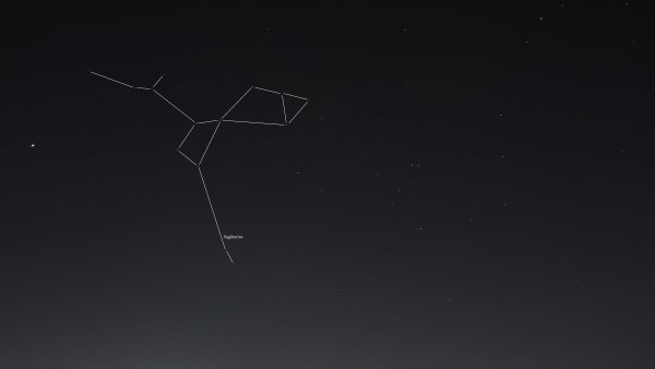 Sagittarius Zodiac Созвездие