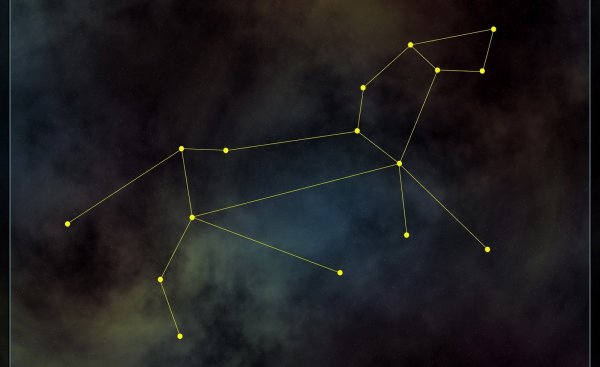 Созвездие зодиака Стрелец