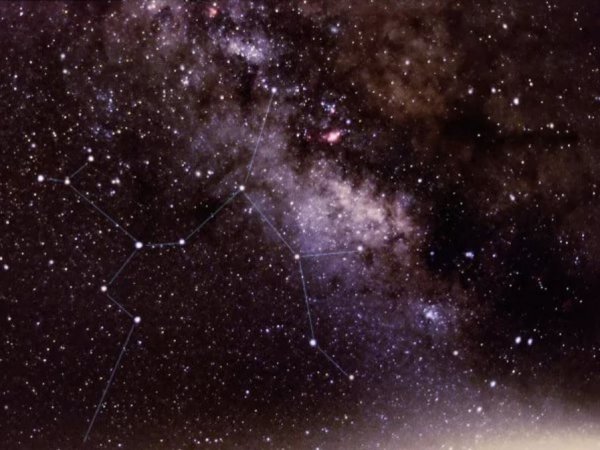 Стрелец знак Созвездие