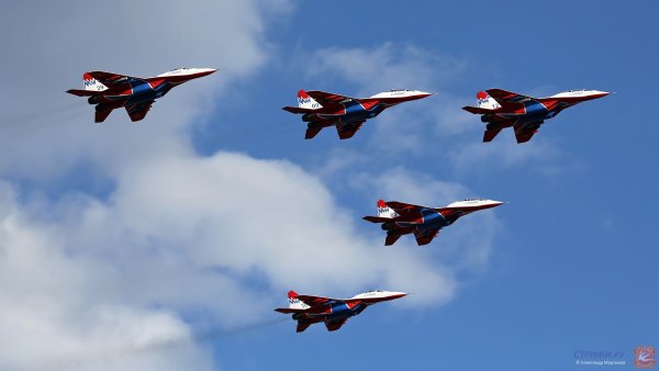 Стрижи в небе самолеты