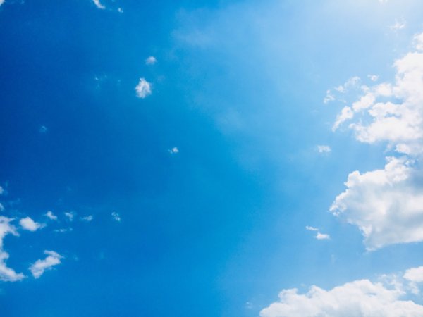 Дорогой мира и добра