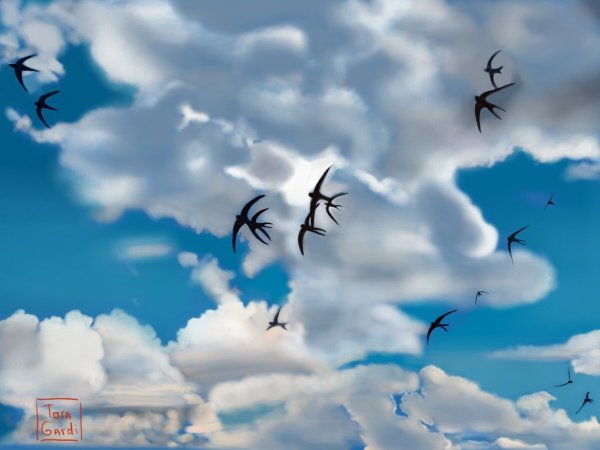 Стая ласточек в небе
