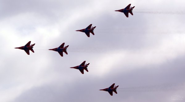 Стрижи в небе