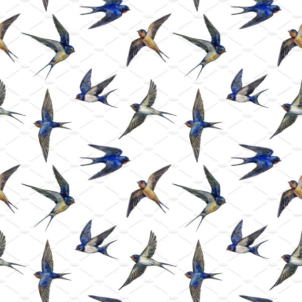 Много ласточек