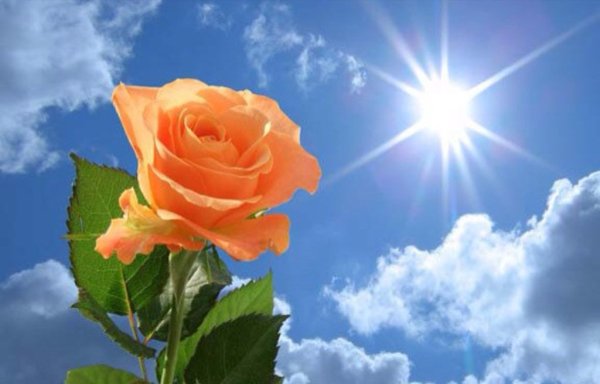 Зима пройдет наступит лето