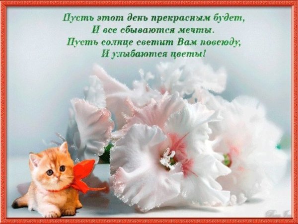 Открытка с прекрасным утром и счастливым днем