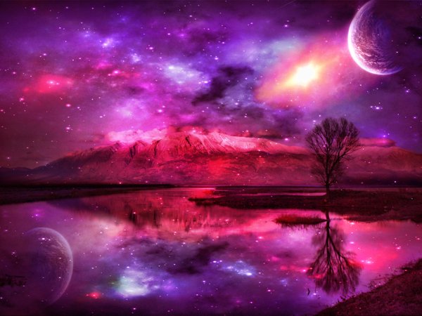 Розовый космос