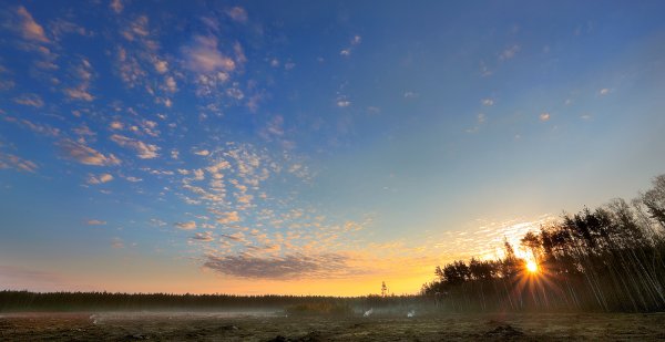 Красивое небо утро