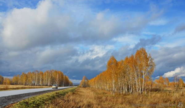 Осень уж небо осенью дышало