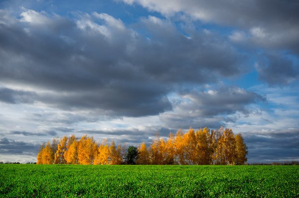 Красивое осеннее небо