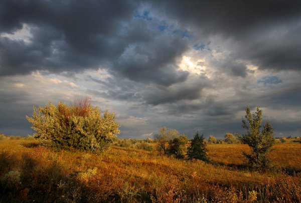 Пасмурное небо осень