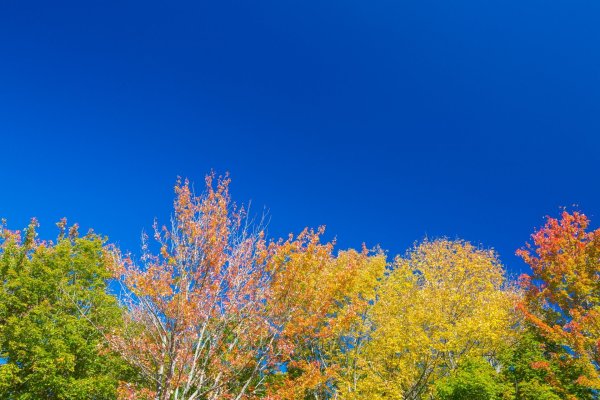 Осень голубое небо