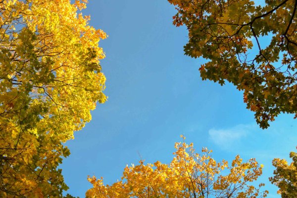 Утреннее осеннее небо