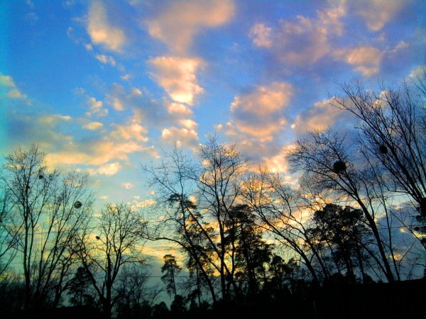 Пасмурный осенний день