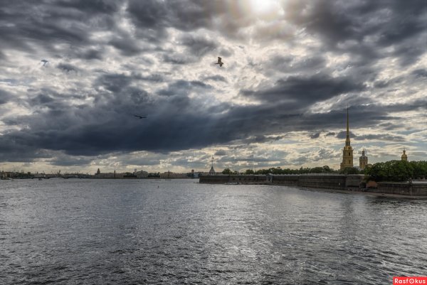 Река Нева Питер Эстетика