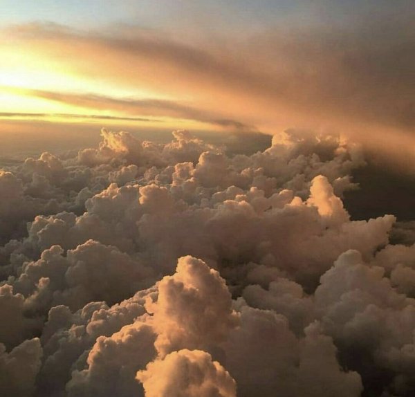 Эстетика Дино секрет небес