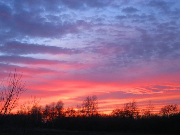 Небо зарево