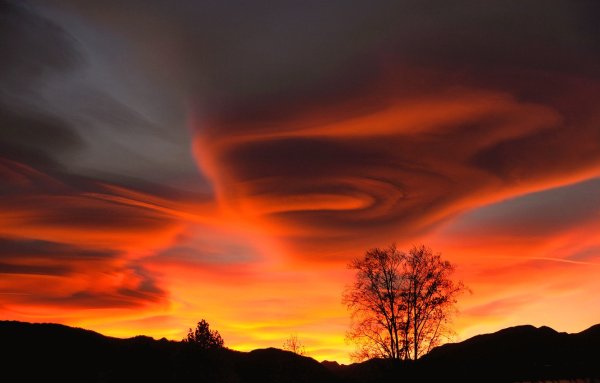 Оранжевое зарево