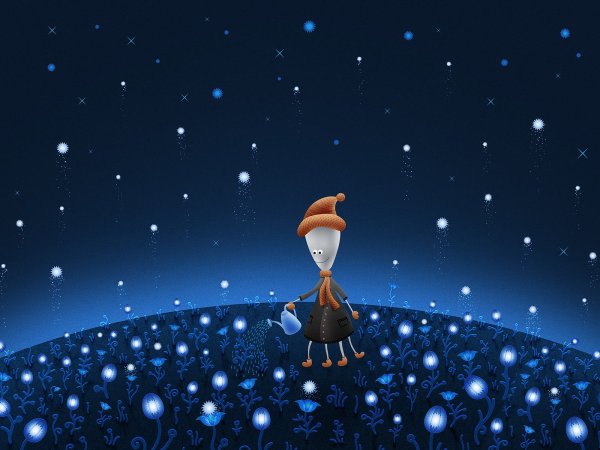 Красивая ночь