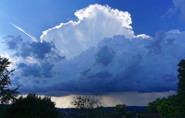 Кучево дождевые
