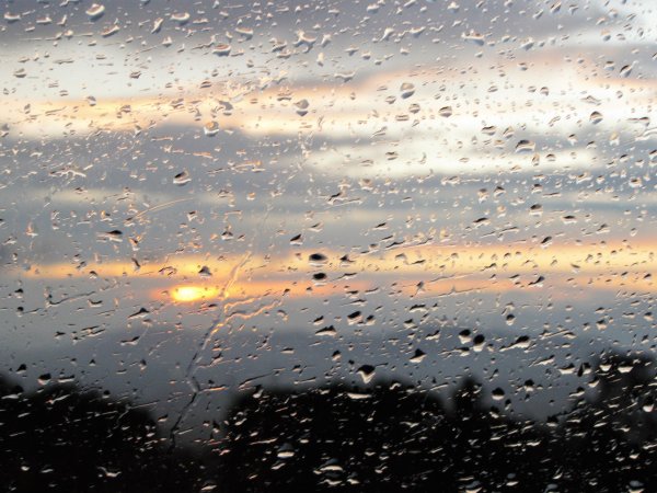 Утренний дождь