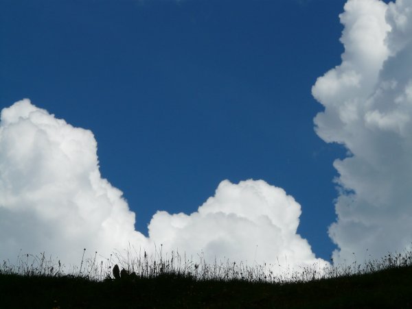 Кучево-дождевые лысые