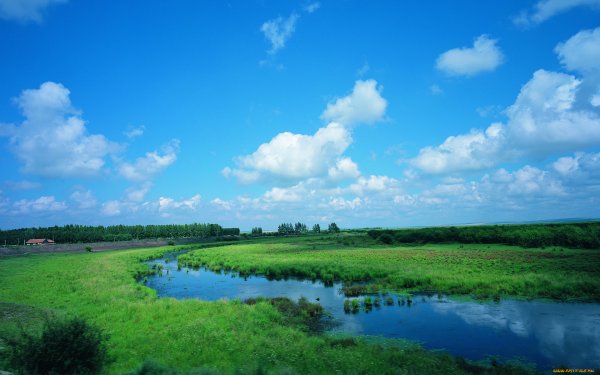 Поле речка небо