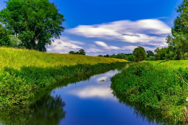 Поле с речкой