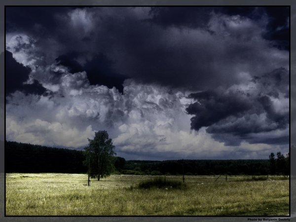 Грозовые тучи над полем