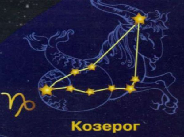 Созвездие Capricornus