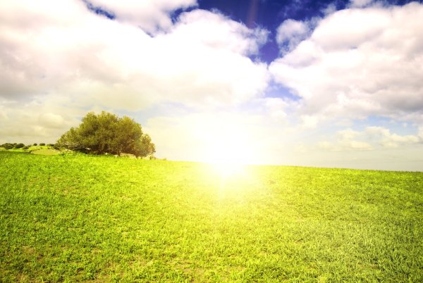 Небо солнце