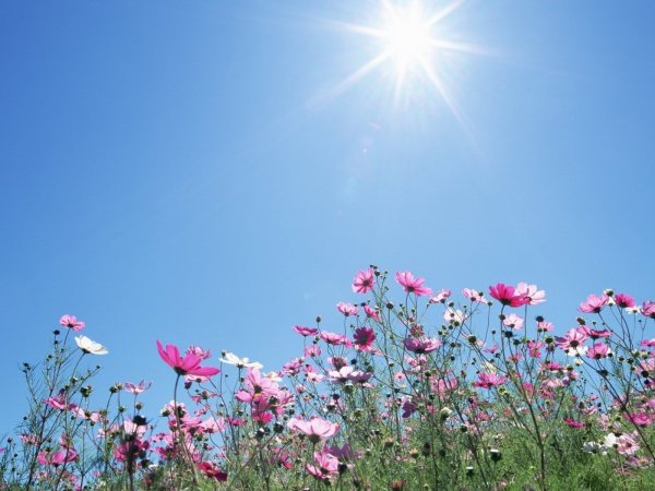 Небо солнце лето