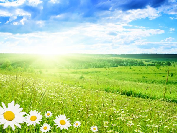 Солнечная погода