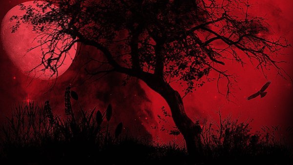 Красная ночь